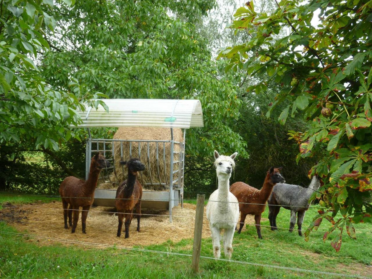 Ferienwohnungen Hof Heiderich Oberzent Exterior foto